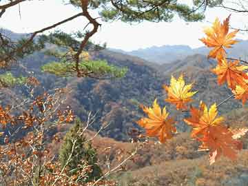 上海首批股票回购增持贷款项目落地